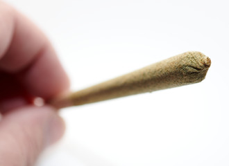 Alternative medicine fingers holding kief joint with marijuana  CBD white background