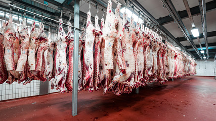 pork at the meat manufacturing
