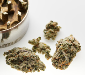 Alternative medicine grinder and CBD buds on white background