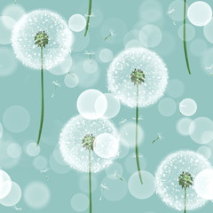 Dandelion seamless floral pattern