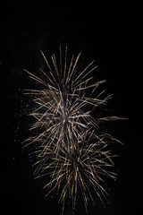 Obraz premium paysage dans la nuit feux d'artifice Gradignan 14 juillet