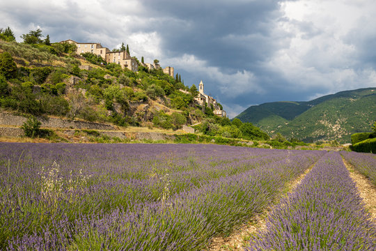 Montbrun-les-Bains, labellis&eacute; Les Plus Beaux Villages de France, le village et un champ de lavandes, parc naturel r&eacute;gional des Baronnies proven&ccedil;ales 