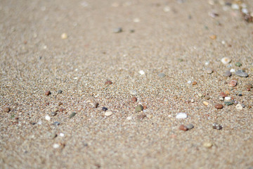 Fototapeta na wymiar sand beach macro sea ocean pebbles background blurred wet shallow quartz yellow