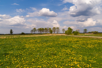 Wiosna na Podlasiu. Dolina Narwi, Polska