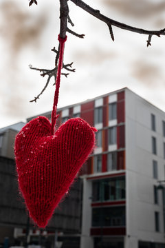 Knittet heart in trees by St. Olavs hospital during Covid- 19. 