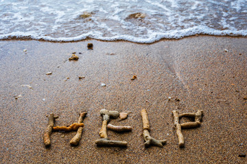 Dead corrals in the sand scream for help. Global disaster. Climate change