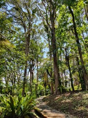 Bali Botanic Garden. Kebun Raya Bali