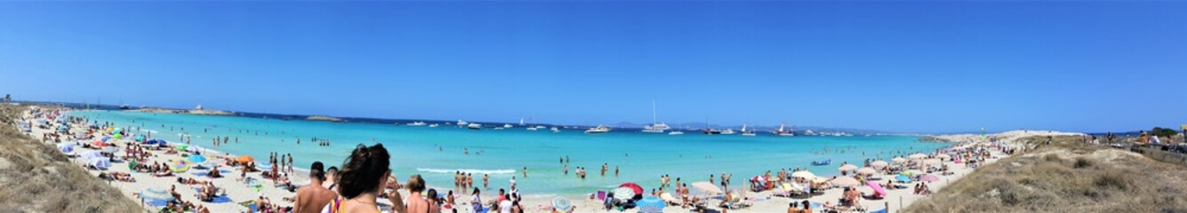 Mare caldo e limpido di Formentera, vento nell'aria e flora selvaggia ai lati di un paesaggio suggestivo