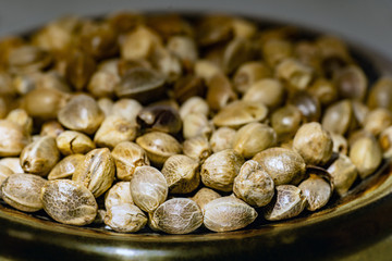Hemp seeds in the metal plate