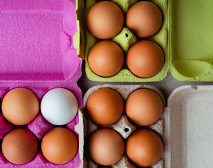 Fresh brown and white eggs in colored cardboard containers