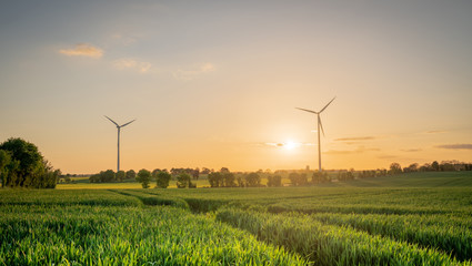 Wind turbine sunset over the fields