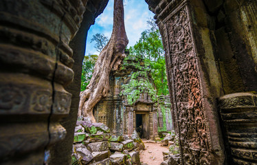 Entrance to the world famous heritage in Angkor Wat - Ta Prohm - obrazy, fototapety, plakaty
