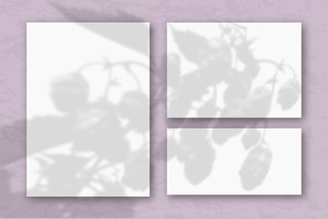 Several horizontal and vertical sheets of white textured paper against a pastel lilac wall. Mockup overlay with the plant shadows. Natural light casts shadows from the tops of field plants and flowers