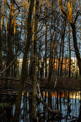 Obraz premium Stockholm, Sweden A pond on Sjoviksbacken in Arstaberg at sunset.