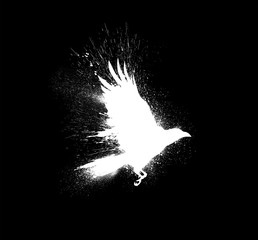 White silhouette of a flying raven with spread wings with paint splashes, splatters and blots isolated on a black background. - 339564020
