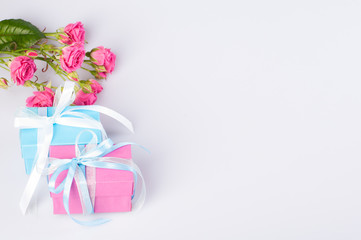 Two gift boxes blue and pink color with ribbon bow and fresh red roses on white background