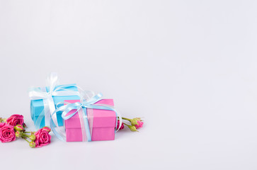 Two gift boxes blue and pink color with ribbon bow and fresh red roses on white background