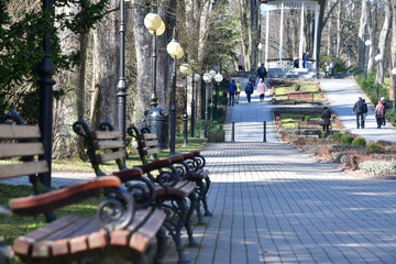 Polanica Zdrój. Park - obrazy, fototapety, plakaty