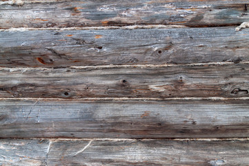 texture of the log house wall.