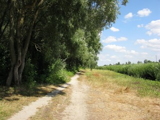 Path