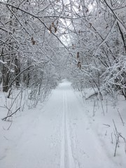 Obraz premium snow covered road
