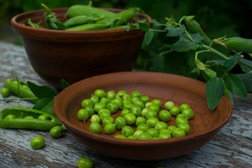 
green peas in clay pots on a wooden table