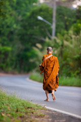 Monks walking on the street