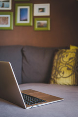 woman using laptop