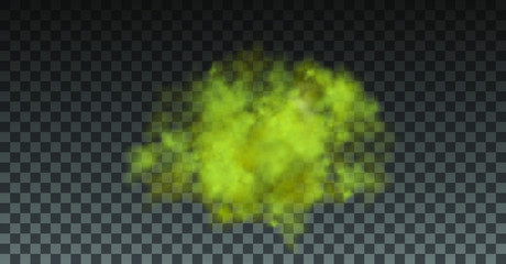 Dust cloud with particles with dirt,cigarette smoke, smog, soil and sand  particles. Realistic vector isolated on transparent background. Concept house cleaning, air pollution,big explosion.