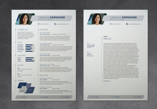 Modern Resume Layout with Blue Accents