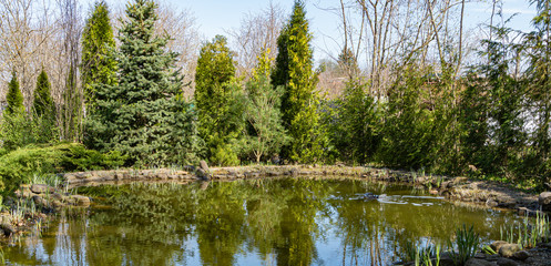 Fototapeta na wymiar Beautiful garden pond with stone shores against backdrop of evergreens. Spring landscaped garden with pond. Nature spring concept design. Place for your text.