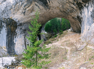 Through passage in the mountain range. Tall slender fir trees grow on the mountain 
slopes.
