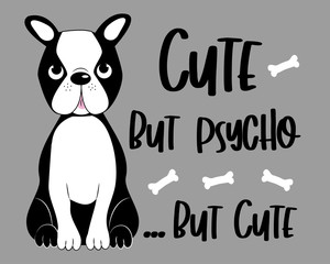 Cute but psycho...but cute -funny text with Boston terrier.
Good for poster, banner, textile print, and gift design.