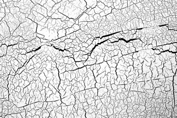 White background with black cracks. texture. abstraction