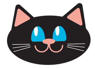 funny cat black face on white background
