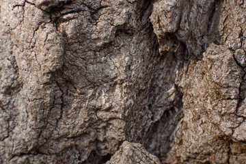 rock texture on wood