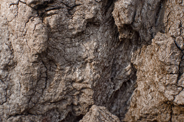 rock texture on wood