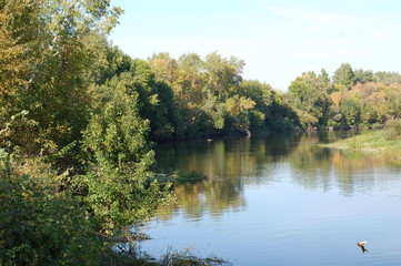 Fototapeta premium lake in the woods