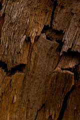 beautiful wooden texture with cracks