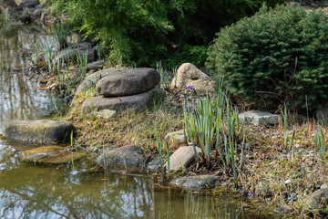 Naklejka na ściany i meble Beautiful stone shore of garden pond on blurry background of evergreens and aquatic plants. Spring landscaped garden with pond. Nature spring concept design. Place for your text.