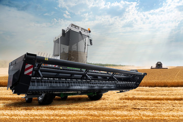 Fototapeta premium Combine harvester on the wheat field.