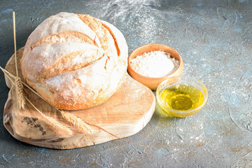 Loaf of white round bread, some wheat ears, white flour and olive oil on the dark background. Natural handmade white bread.