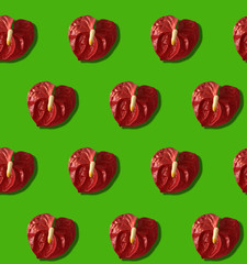 Seamless pattern with anthurium Flower. Green background. Sketch textile, background, wrapping paper design, packaging.