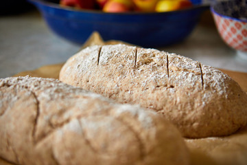Image of Spelt/Rye bread dough ready for baking. Selectice Focus