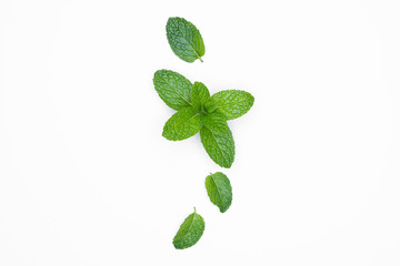 Fresh raw mint isolated on white background. For copy space.