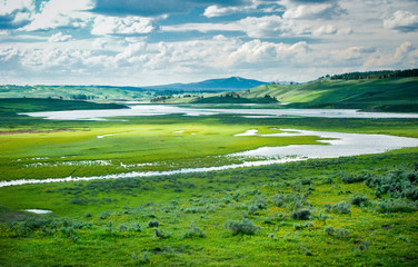 Wide-open valley and meadow of Hayden Valley in Yellowstone National Park