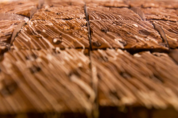 Closeup of homemade chocolate brownies that are baked on a tray