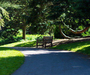 bench in the park