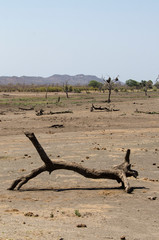 Parc national Kruger, Afrique du Sud