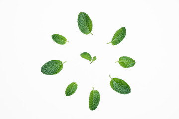 Fresh raw mint isolated on white background. For copy space.